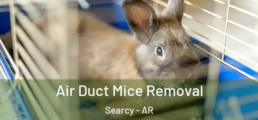 Air Duct Mice Removal Searcy - AR