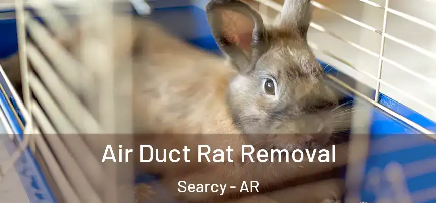 Air Duct Rat Removal Searcy - AR