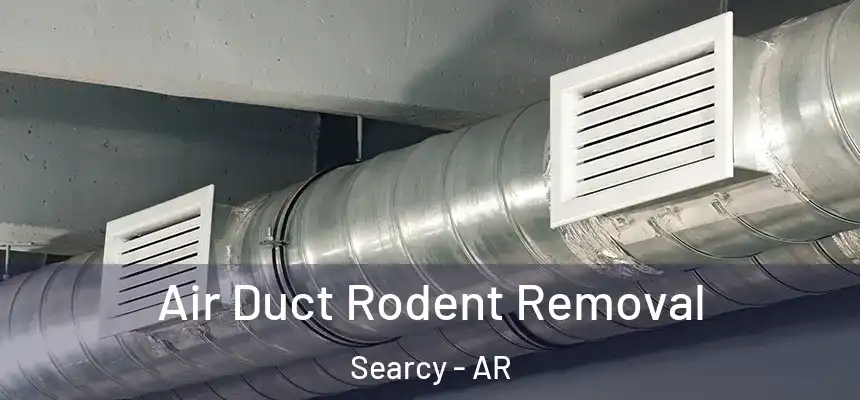 Air Duct Rodent Removal Searcy - AR
