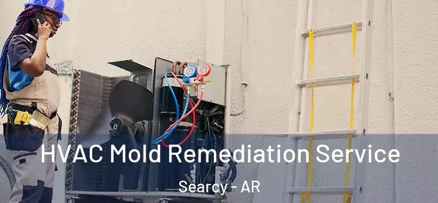 HVAC Mold Remediation Service Searcy - AR