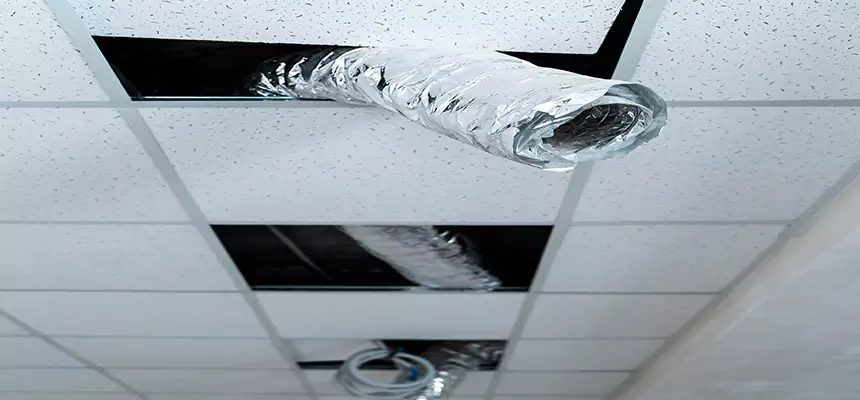 Our Air Duct Pet Hair Removal Services in Searcy, AR