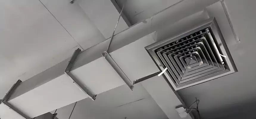 Our Rodent Droppings In Vents Services in Searcy, AR