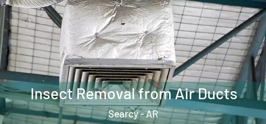 Insect Removal from Air Ducts Searcy - AR