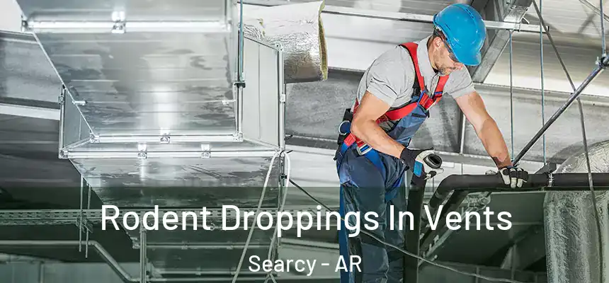  Rodent Droppings In Vents Searcy - AR