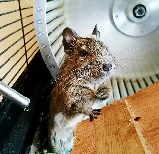 Why Homeowners & Businesses Trust Us Searcy, AR?