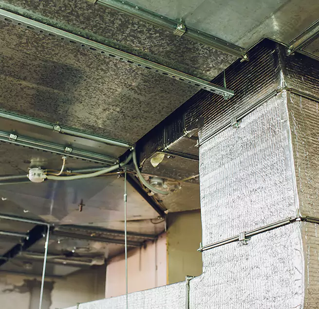 Why Homeowners & Businesses Trust Us in Searcy, AR?